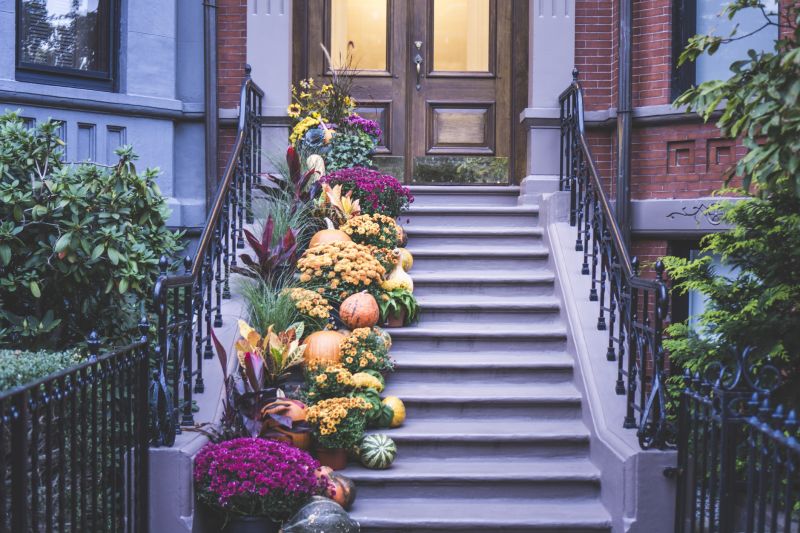 Front Steps Restoration