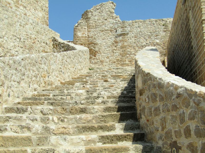 Front Steps Restoration