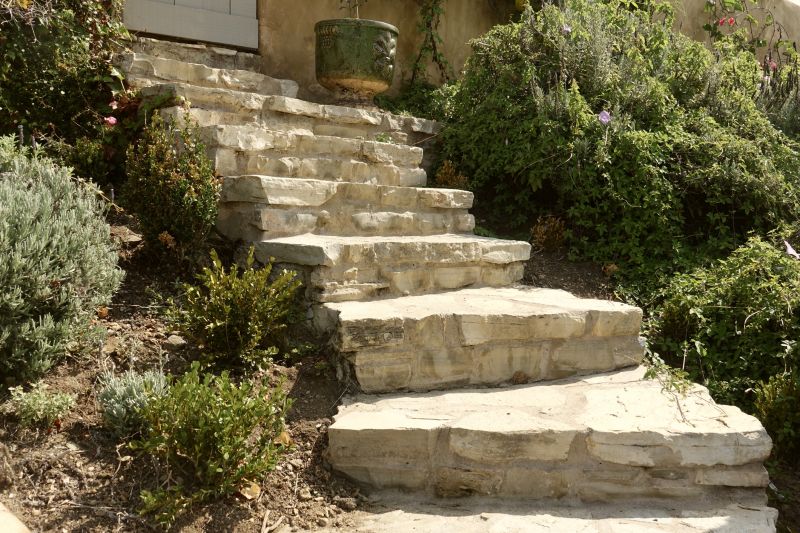 Front Steps Restoration